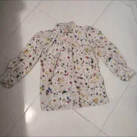 تعدادی شومیز مجلسی