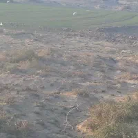 ۱۲ من زمین کشاورزی