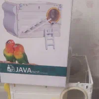 لانه پرنده عروس طوطی مرغ عشق (مدل جاوا)