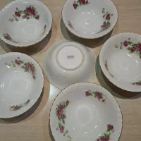 کاسه ابگوشت خوری گل سرخی