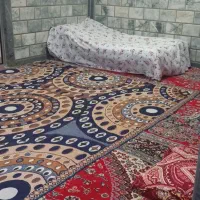 سوئیت دربستی