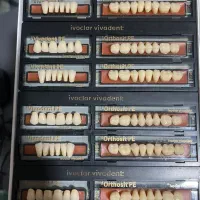 دندان ایوکلار IVOCLAR اصلی لیختن اشتاین ( ایتالیا)