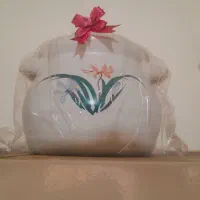 وسایل اپزخانه|ظروف نگهدارنده، پلاستیکی، یک‌بارمصرف|قزوین, |دیوار