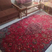 فرش دستباف ساروق|فرش|تهران, ایوانک|دیوار