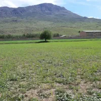 فروش16هکتار زمین کشاورزی آبی نوژیان وارک