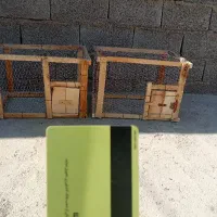 پیدا شده( توجه به عکس )