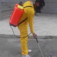 سمپاشی تضمینی سوسک ساس موریانه سم پاشی منازل موش