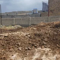 کود گاو|گل و گیاه طبیعی|ماهدشت, |دیوار