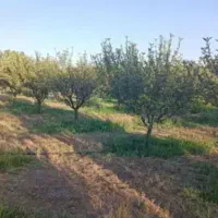 باغشهر ساوالان|فروش خانه و ویلا|باغ حلی, |دیوار