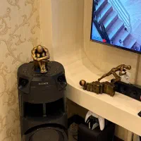 دو عدد مجسمه کارو تلاش رزین