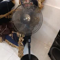 پنکه مدیا