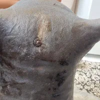 مشک جای روغن حیوانی|صنایع دستی و سایر لوازم تزئینی|رباط‌کریم, رباط‌کریم|دیوار