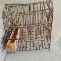 قفس‌پرنده