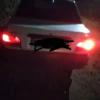 پراید سفید|خودرو سواری و وانت|بهار, |دیوار