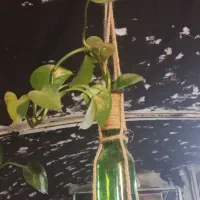 گلدان اویزی تزئینی وشیشه ای|صنایع دستی و سایر لوازم تزئینی|تفت, |دیوار