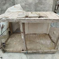 قفس جوجه مرغ