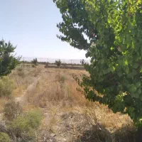 ۱۰۰۰مترزمین باغی محصور|فروش زمین و ملک کلنگی|گلبهار, نوبهار|دیوار