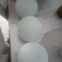 حباب لوستر نوی نو