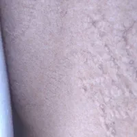 دو عدد موکت ۱۲متری