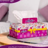 دستمال دلسی|مواد شوینده و دستمال کاغذی|بهبهان, |دیوار