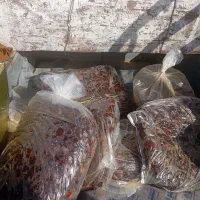 فروش خرما|حراج|امیدیه, |دیوار