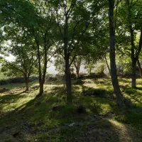 زمین-باغی-فینسک