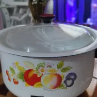 آرام پز ، پلوپز برقی کاملا نو