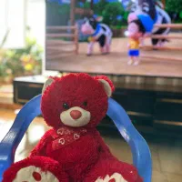 عروسک|اسباببازی بچه|رشت, کوی طالقانی|دیوار