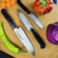 ست چاقو آشپزخانه ۴تایی هادی فضلی زنجان (ست و تکی)|ظروف پخت‌وپز|شیراز, دروازه اصفهان|دیوار