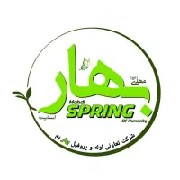 جذب نیروی فنی آچار به دست