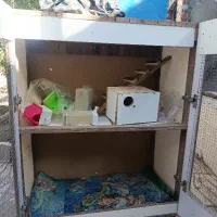 قفس بزرگ برای انواع پرنده