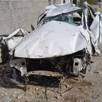 سمند تصادفی