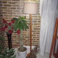 کنون 14مگاپیکسل|دوربین عکاسی و فیلم‌برداری|کرمانشاه, |دیوار