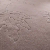 شستن فرش و موکت