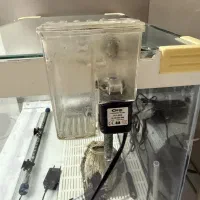 آکواریوم شیشه خم با تمام تجهیزات|ماهی|کردکوی, |دیوار