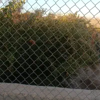 باغ|فروش زمین و ملک کلنگی|برخوار, |دیوار