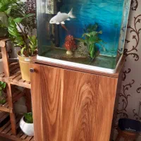 آکواریوم وماهی های داخل آکواریوم ومیز