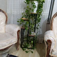 استند گل و گیاه