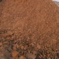 کود حیوانی چند ساله