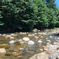 قلعه رودخان.دوبلکس.کنار رودخانه.دربست.ویو بی نظیر|اجارهٔ کوتاه‌مدت ویلا و باغ|فومن, |دیوار