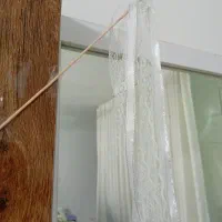چوبک عروس یه حس خوب موقع ورود