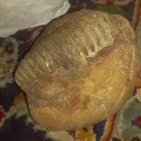 کلکسیونی|کلکسیون اشیاء عتیقه|بجنورد, |دیوار