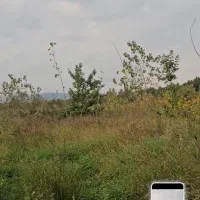 7700 متر زمین باغی مناسب گلخانه رودسر شکرپس