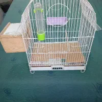 قفس بزرگ به همه لانه چوبی