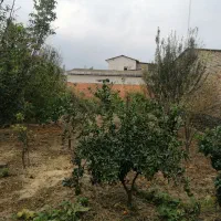 زمین مسکونی|فروش زمین و ملک کلنگی|نوکنده, |دیوار