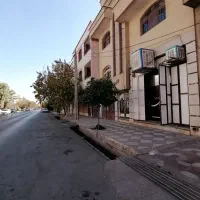 مغازه چهارراه باهنر، 20 متری قهرمانی|اجارهٔ مغازه و غرفه|شیراز, قالیشویی|دیوار