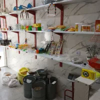 واگزاری پرنده فروشی