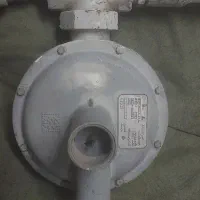 وسایل|لوازم جانبی حیوانات|همدان, |دیوار