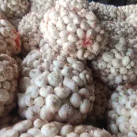 پیاز سفید محلی درجه 1|خوردنی و آشامیدنی|تربتحیدریه, کلاته توکلی|دیوار