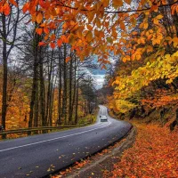 مربی مرد ومربی زن